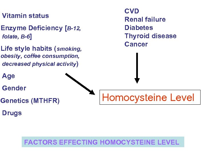 Vitamin status Enzyme Deficiency [B-12, folate, B-6] Life style habits (smoking, CVD Renal failure