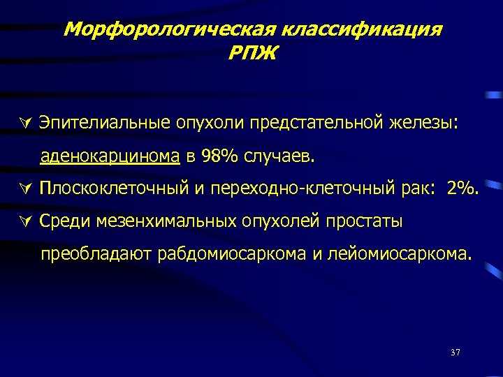 Морфорологическая классификация РПЖ Эпителиальные опухоли предстательной железы: аденокарцинома в 98% случаев. Плоскоклеточный и переходно-клеточный