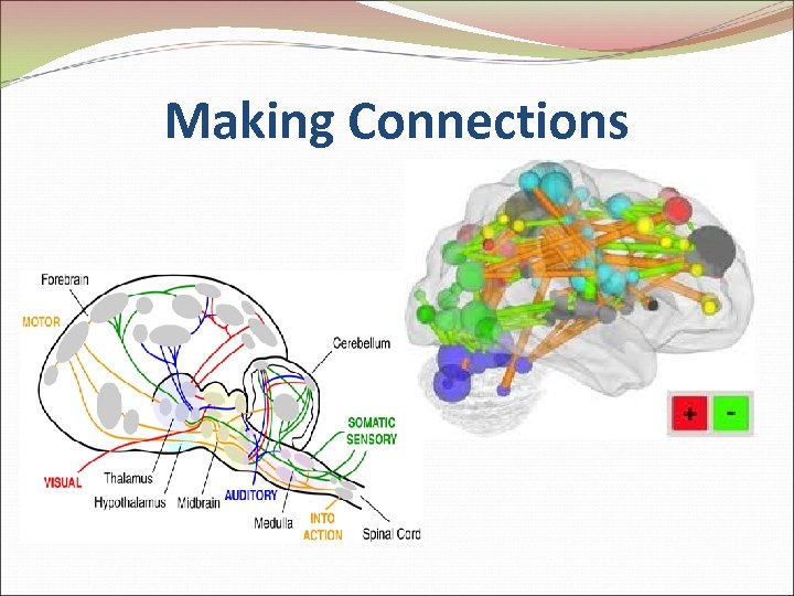 Making Connections 