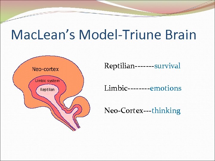 Mac. Lean’s Model-Triune Brain Reptilian-------survival Limbic----emotions Neo-Cortex---thinking 