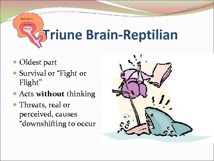 Triune Brain-Reptilian Oldest part Survival or “Fight or Flight” Acts without thinking Threats, real