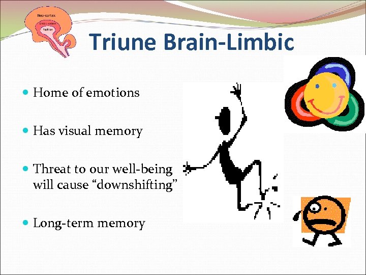 Triune Brain-Limbic Home of emotions Has visual memory Threat to our well-being will cause