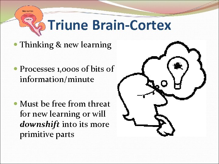 Triune Brain-Cortex Thinking & new learning Processes 1, 000 s of bits of information/minute