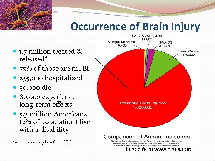 Occurrence of Brain Injury 1. 7 million treated & released* 75% of those are