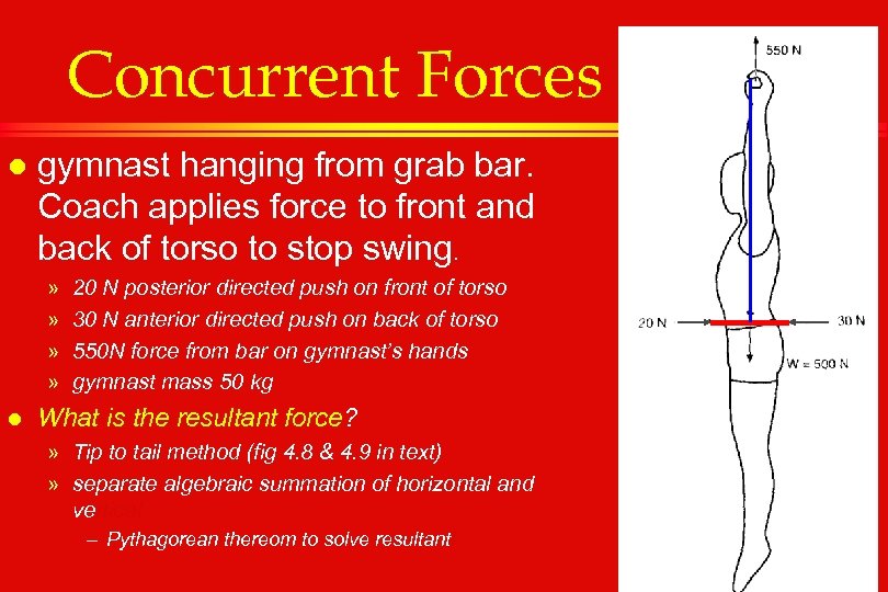 Concurrent Forces l gymnast hanging from grab bar. Coach applies force to front and