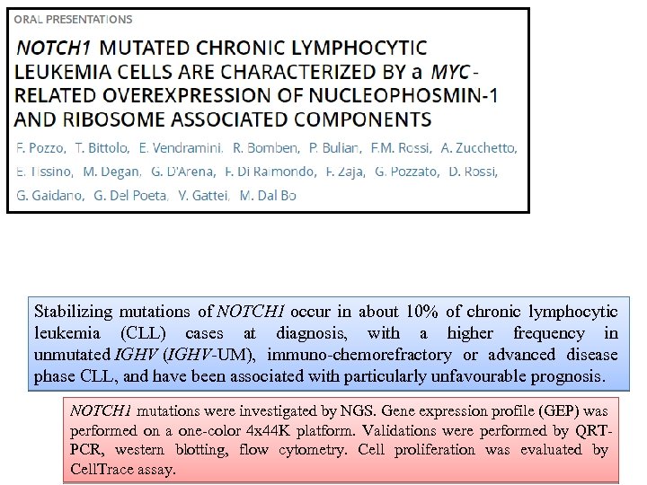 Stabilizing mutations of NOTCH 1 occur in about 10% of chronic lymphocytic leukemia (CLL)