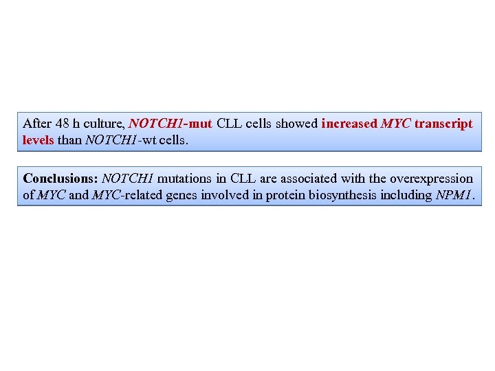 After 48 h culture, NOTCH 1 -mut CLL cells showed increased MYC transcript levels