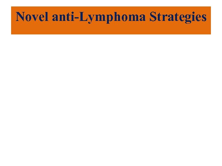 Novel anti-Lymphoma Strategies 