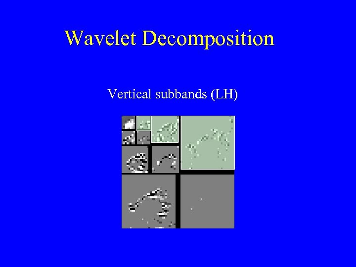 Wavelet Decomposition Vertical subbands (LH) 