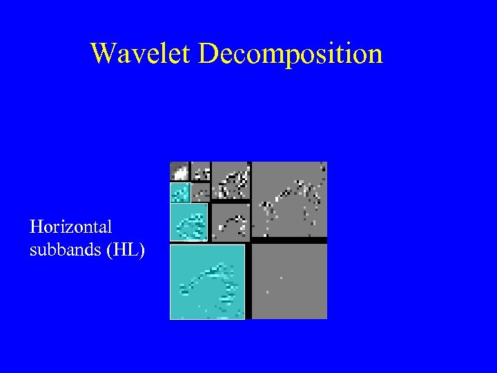 Wavelet Decomposition Horizontal subbands (HL) 