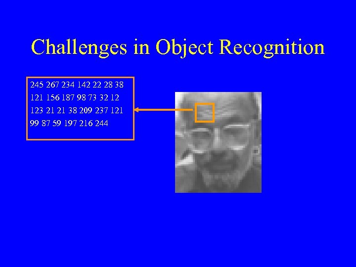 Challenges in Object Recognition 245 267 234 142 22 28 38 121 156 187