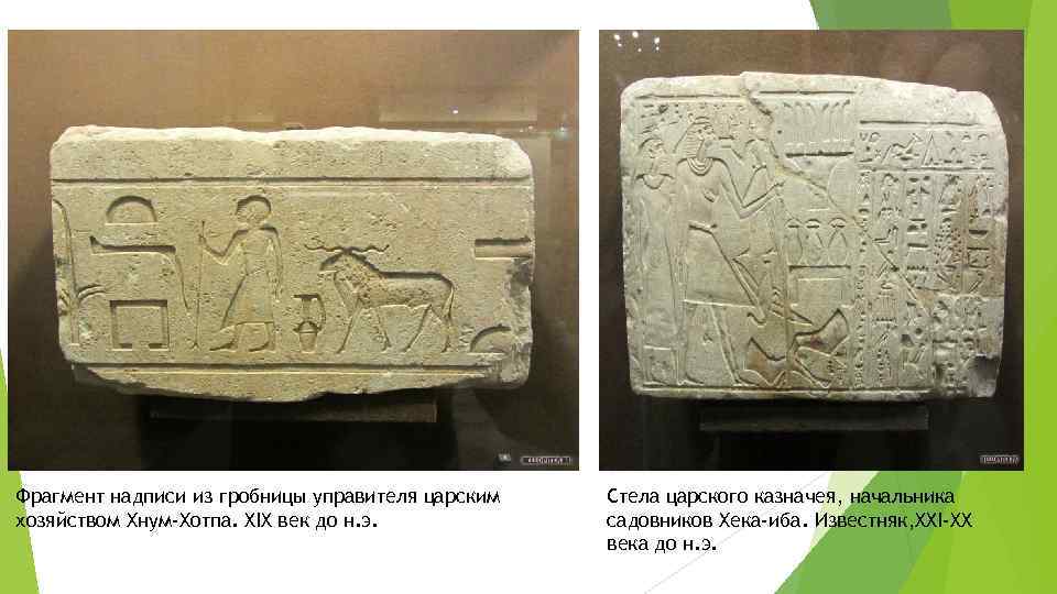 Фрагмент надписи из гробницы управителя царским хозяйством Хнум-Хотпа. XIX век до н. э. Стела