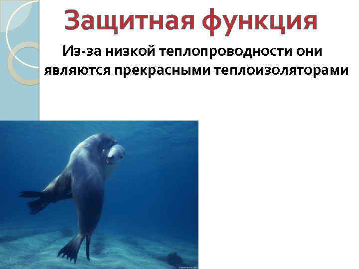 Защитная функция Из-за низкой теплопроводности они являются прекрасными теплоизоляторами 