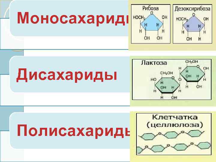 Моносахариды Дисахариды Полисахариды 