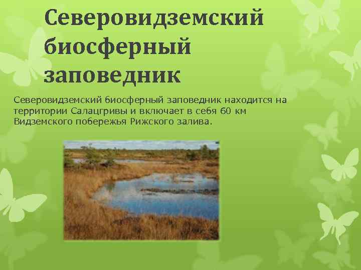 Северовидземский биосферный заповедник находится на территории Салацгривы и включает в себя 60 км Видземского