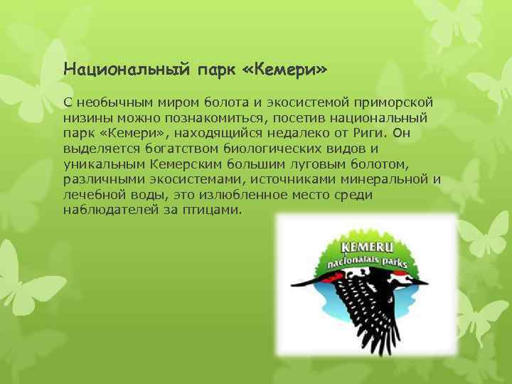 Национальный парк «Кемери» С необычным миром болота и экосистемой приморской низины можно познакомиться, посетив