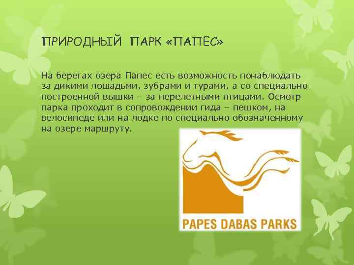 ПРИРОДНЫЙ ПАРК «ПАПЕС» На берегах озера Папес есть возможность понаблюдать за дикими лошадьми, зубрами