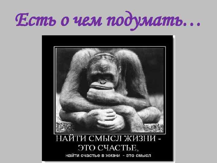 Есть о чем подумать… 