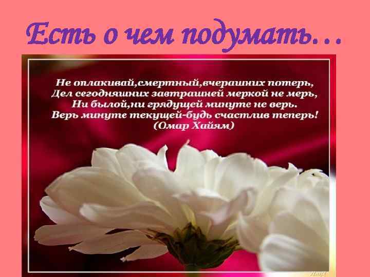 Есть о чем подумать… 