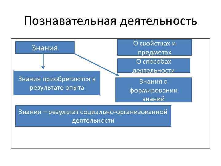 Виды познавательной деятельности