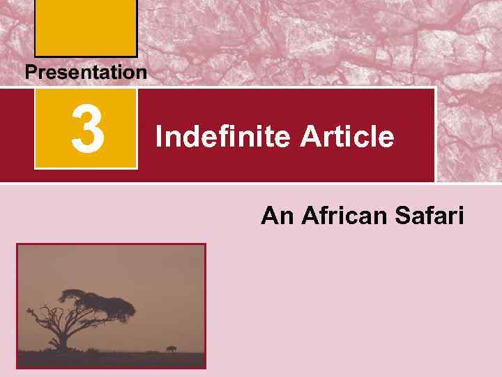 3 Indefinite Article An African Safari 