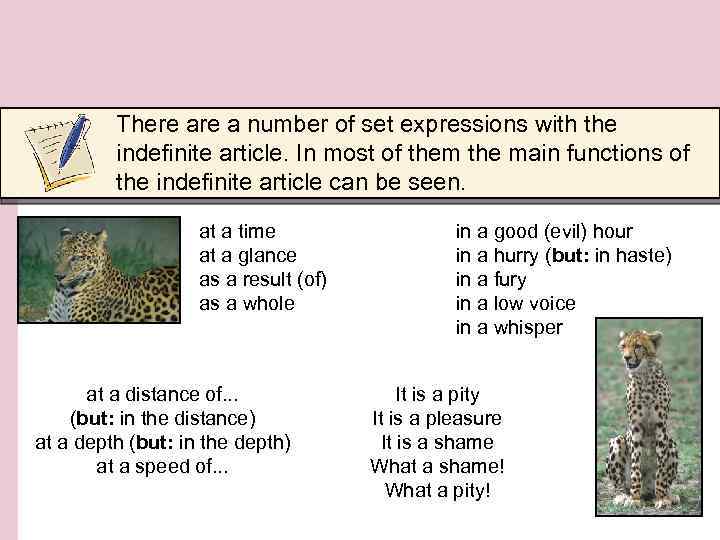 There a number of set expressions with the indefinite article. In most of them
