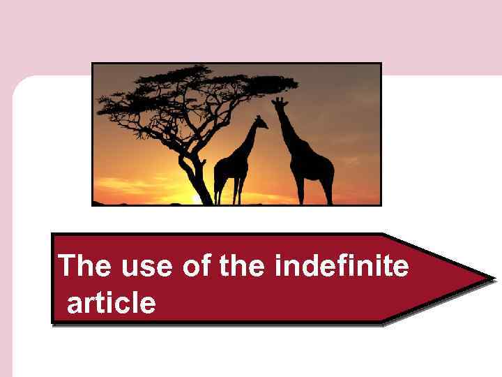 The use of the indefinite article 