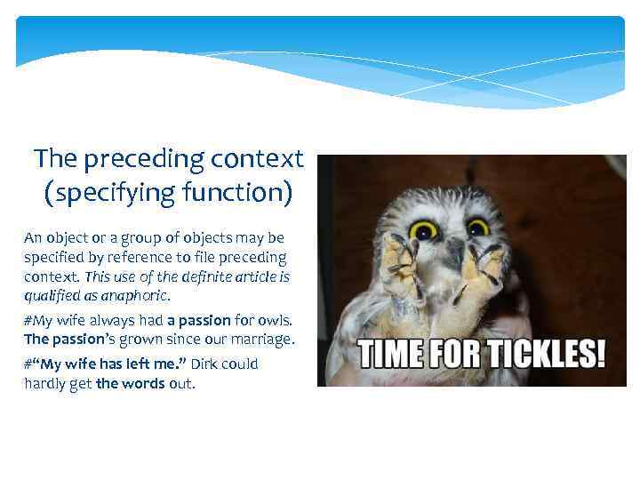 The preceding context (specifying function) An object or a group of objects may be