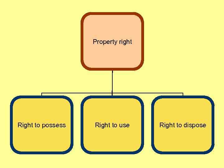 Property right Right to possess Right to use Right to dispose 
