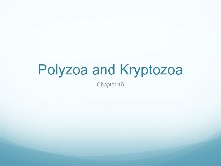 Polyzoa and Kryptozoa Chapter 15 