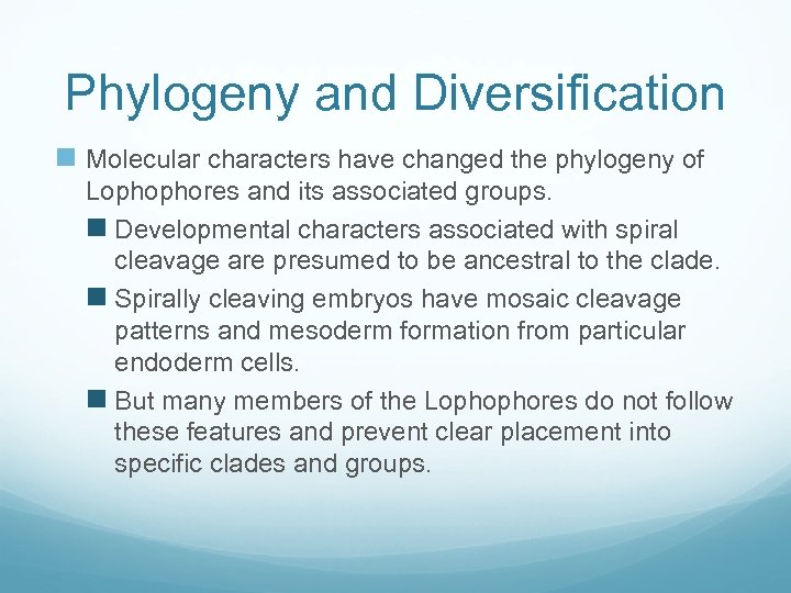 Phylogeny and Diversification n Molecular characters have changed the phylogeny of Lophophores and its