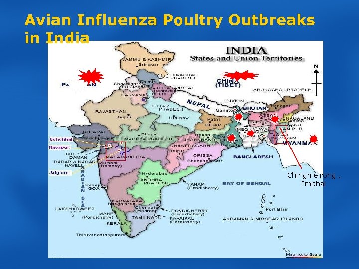 Avian Influenza Poultry Outbreaks in India Chingmeirong , Imphal 