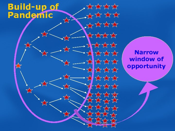 Build-up of Pandemic Narrow window of opportunity ; 