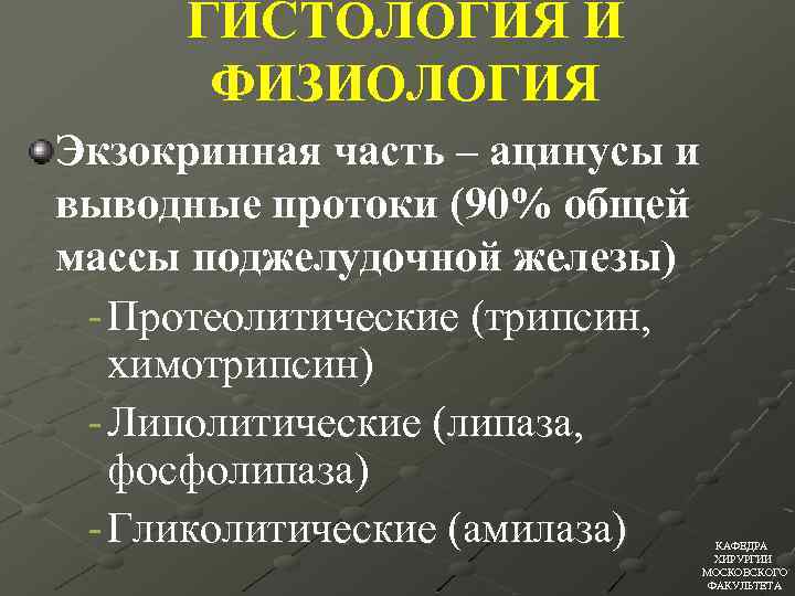 ГИСТОЛОГИЯ И ФИЗИОЛОГИЯ Экзокринная часть – ацинусы и выводные протоки (90% общей массы поджелудочной