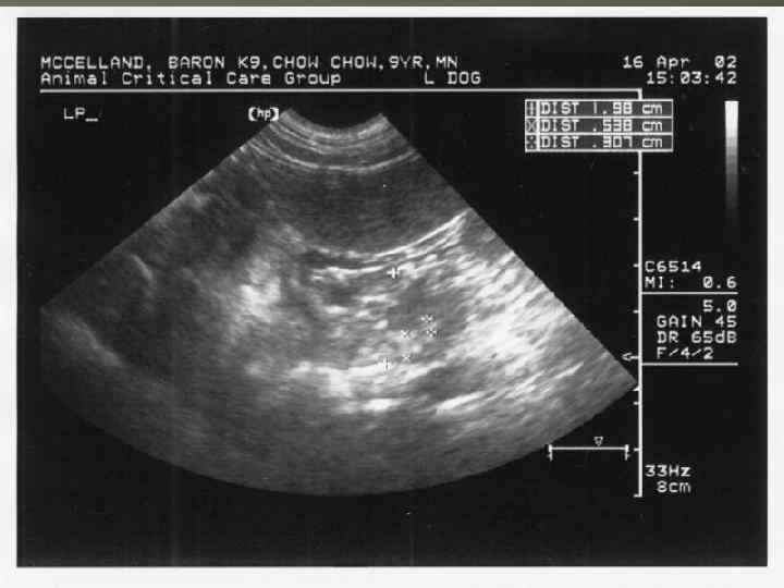 КАФЕДРА ХИРУРГИИ МОСКОВСКОГО ФАКУЛЬТЕТА 