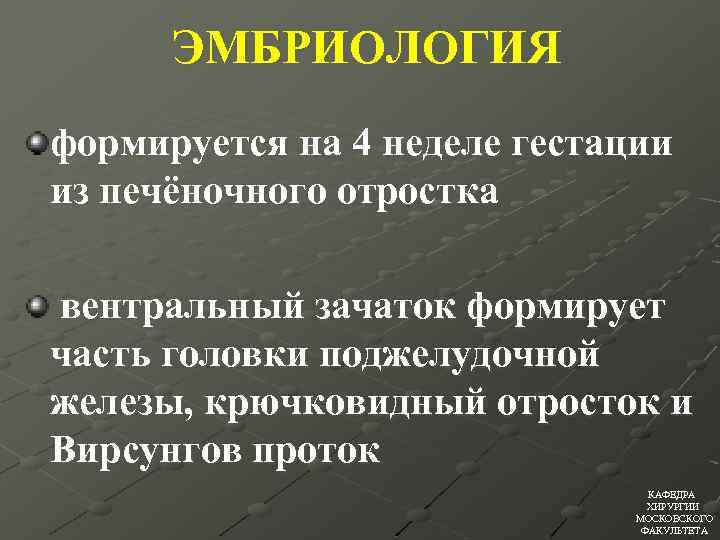 ЭМБРИОЛОГИЯ формируется на 4 неделе гестации из печёночного отростка вентральный зачаток формирует часть головки