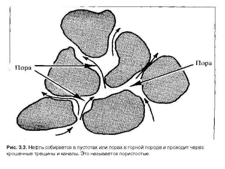 Рис. 3. 3. Нефть собирается в пустотах или порах в горной породе и проходит