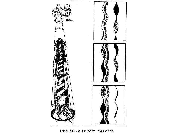 Рис. 10. 22. Полостной насос 