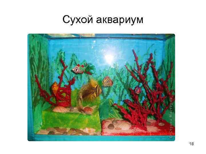 Сухой аквариум 18 