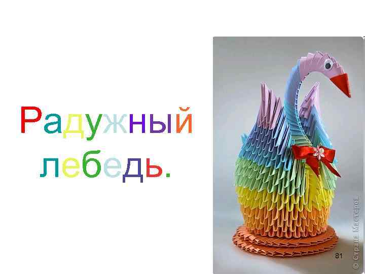 Радужный лебедь. 81 