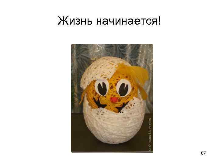 Жизнь начинается! 87 