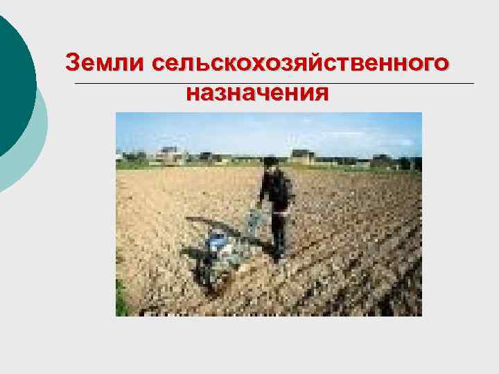 Земли сельскохозяйственного назначения 
