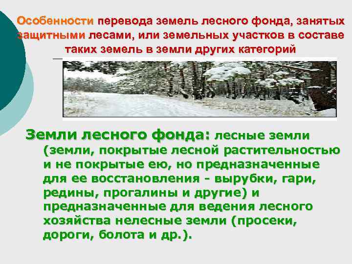 Особенности перевода земель лесного фонда, занятых защитными лесами, или земельных участков в составе таких