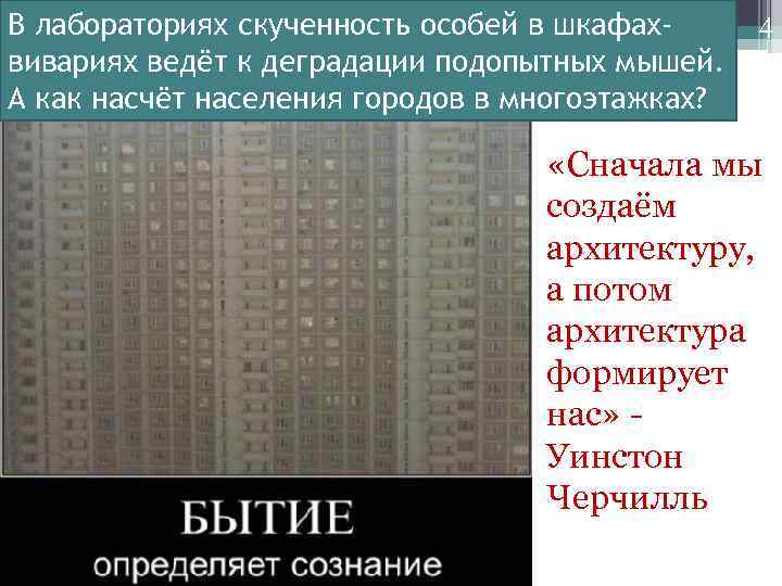 В лабораториях скученность особей в шкафахвивариях ведёт к деградации подопытных мышей. А как насчёт