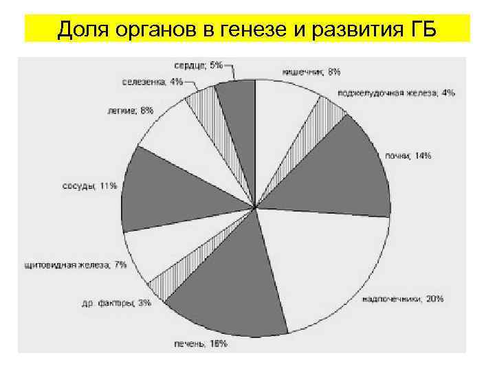 Доля органов в генезе и развития ГБ 