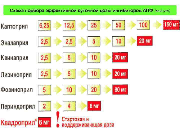 Схема подбора эффективной суточной дозы ингибиторов АПФ (мг/сут) 