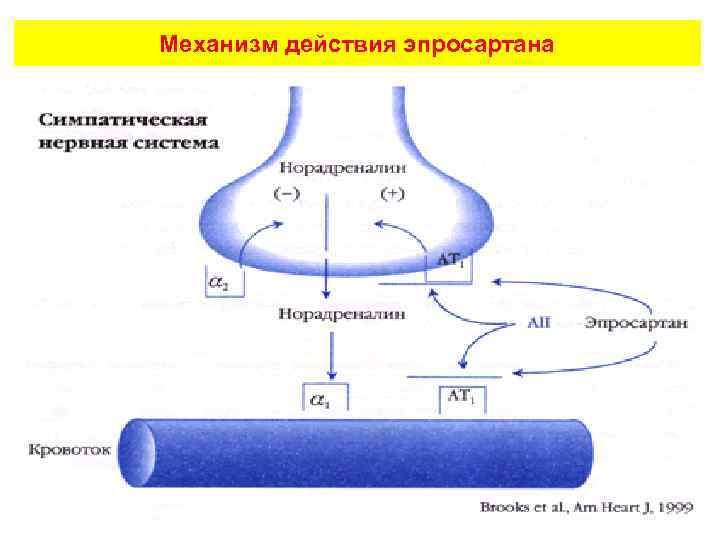 Механизм действия эпросартана 