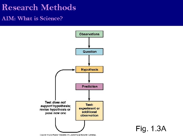 Research Methods AIM: What is Science? Fig. 1. 3 A 