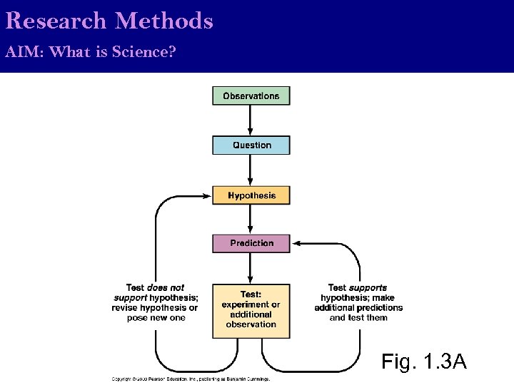 Research Methods AIM: What is Science? Fig. 1. 3 A 