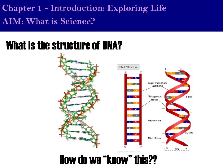Chapter 1 - Introduction: Exploring Life AIM: What is Science? What is the structure